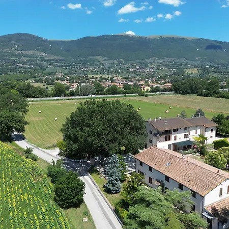 Il Quercione Lantställe Rivotorto