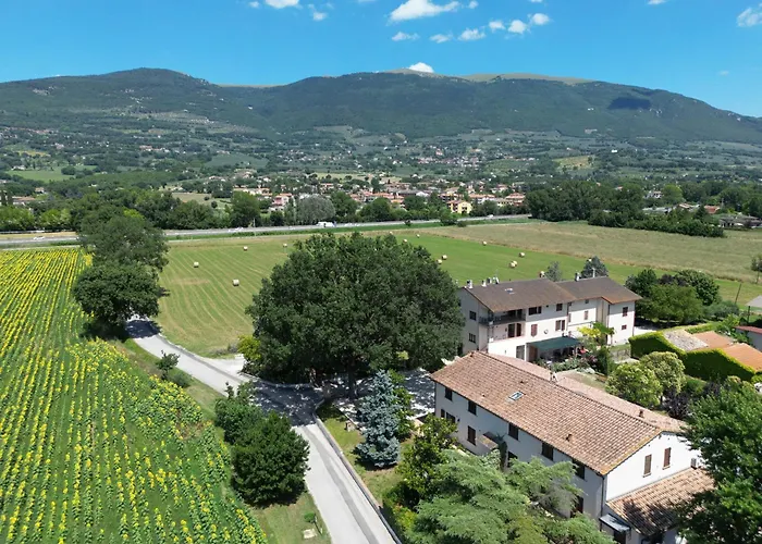 Il Quercione Casa di campagna Rivotorto